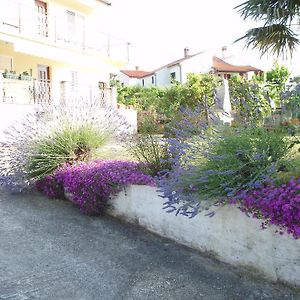 Guest House Jasmin
